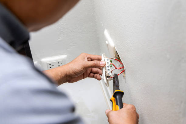 Best Local Electrician Companies  in Suncoast Estates, FL